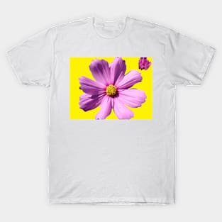 Pink Cosmos Daisy Flower on Yellow T-Shirt